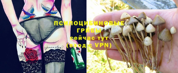 соль курить ск Арсеньев