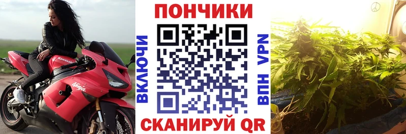МАРИХУАНА Amnesia  Купить закладки  Торжок 